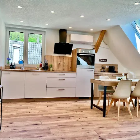 Schwarzwaldwohnung Tannenglück - Waldzauber Apartment *